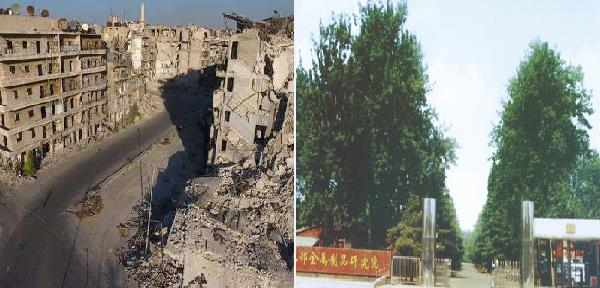 紅星機器成立之初 紅星機器成立之初