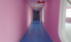 山東省濟寧市婷婷舞蹈兒童地板