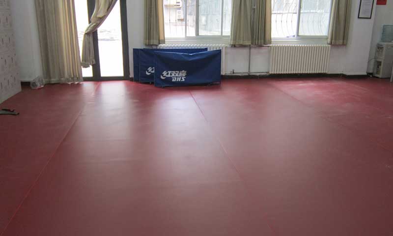 北京海淀師范大學(xué)乒乓球地板 北京海淀北京師范大學(xué)乒乓球pvc地板